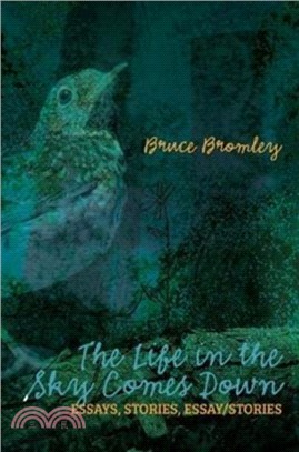 The Life in the Sky Comes Down：Essays, Stories, Essay/Story