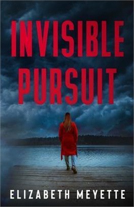 Invisible Pursuit: An Enemies to Lovers Romantic Suspense