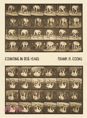 Counting in Dog Years