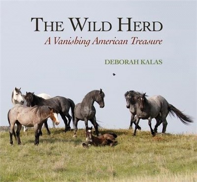 The Wild Herd ― A Vanishing American Treasure