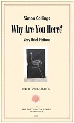 Why Are You Here?: Very Brief Fictions