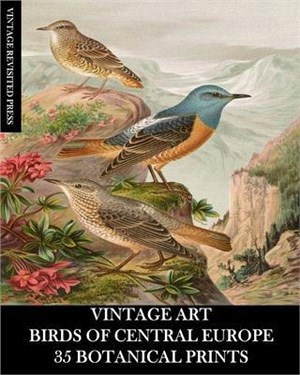 Vintage Art: Birds of Central Europe 35 Botanical Prints