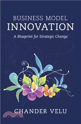 Business Model Innovation：A Blueprint for Strategic Change