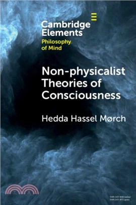 Non-physicalist Theories of Consciousness