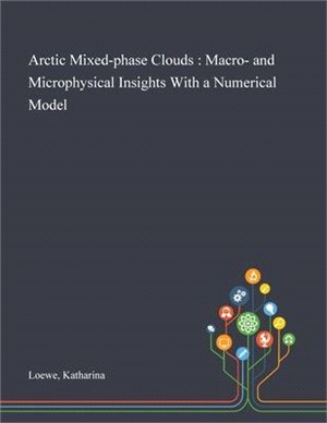 Arctic Mixed-phase Clouds: Macro- and Microphysical Insights With a Numerical Model
