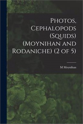 Photos, Cephalopods (Squids) (Moynihan and Rodaniche) (2 of 5)