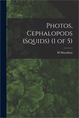 Photos, Cephalopods (Squids) (1 of 5)