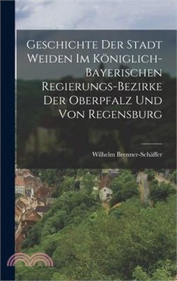 Geschichte der Stadt Weiden im königlich-bayerischen Regierungs-Bezirke der Oberpfalz und von Regensburg