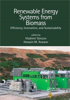 Renewable Energy Systems from Biomass: Efficiency, Innovation and Sustainability