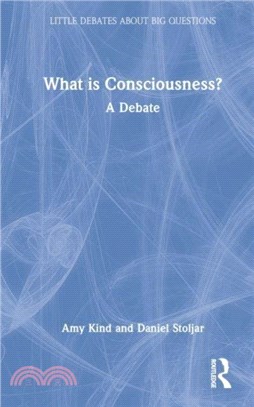 What is Consciousness?：A Debate