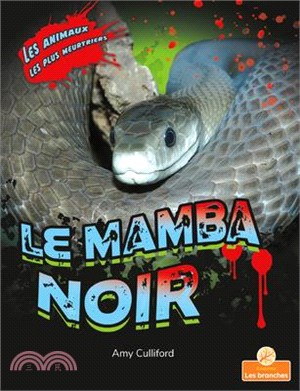 Le Mamba Noir