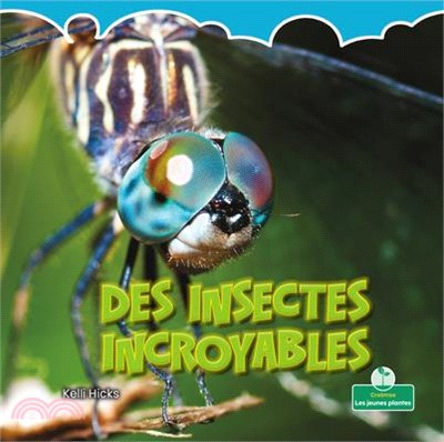 Des Insectes Incroyables