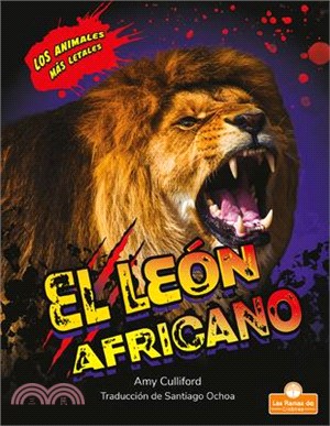 El León Africano