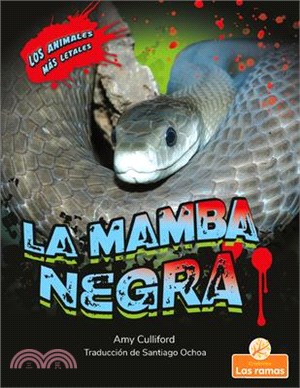 La Mamba Negra