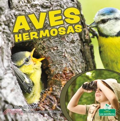 Aves Hermosas