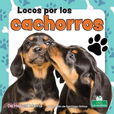 Locos Por Los Cachorros