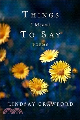 Things I Meant to Say