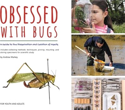 Obsessed with Bugs: A Guide to the Preservation and Curation of Insects