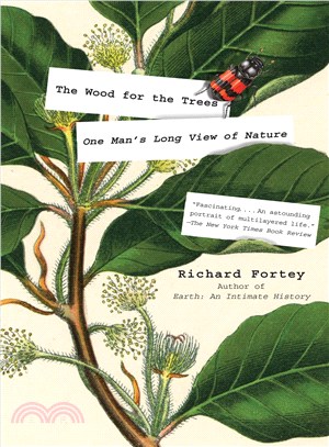 The wood for the trees :one man's long view of nature /