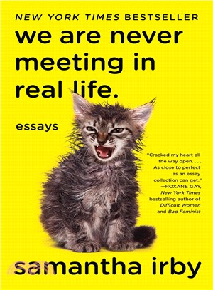 We Are Never Meeting in Real Life ─ Essays