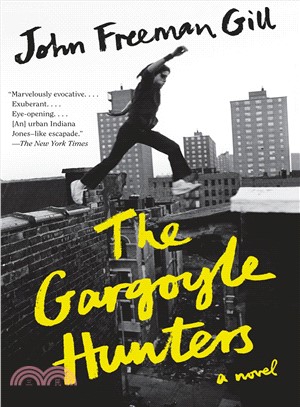 The gargoyle hunters :a nove...