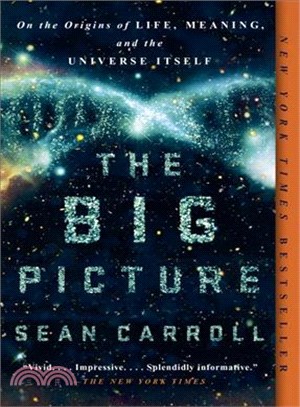 The Big Picture ─ On the Origins of Life, Meaning, and the Universe Itself