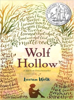 Wolf Hollow :a novel /