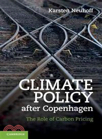 Climate Policy after Copenhagen ─ The Role of Carbon Pricing