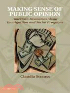 Making Sense of Public Opinion