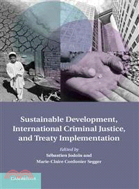 Sustainable Development, International Criminal Law, and Treaty Implementation