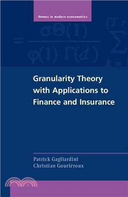 Granularity Theory With Applications to Finance and Insurance