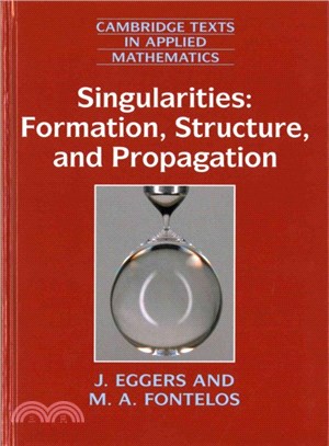Singularities ─ Formation, Structure, and Propagation