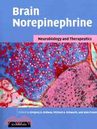 Brain Norepinephrine