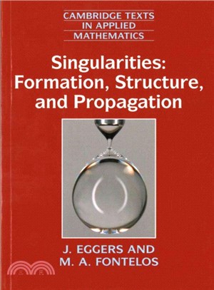 Singularities ― Formation, Structure and Propagation