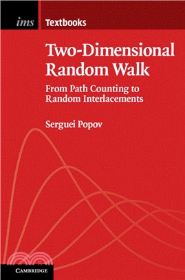 Two-Dimensional Random Walk：From Path Counting to Random Interlacements