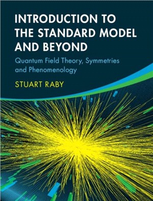 Introduction to the Standard Model and Beyond：Quantum Field Theory, Symmetries and Phenomenology