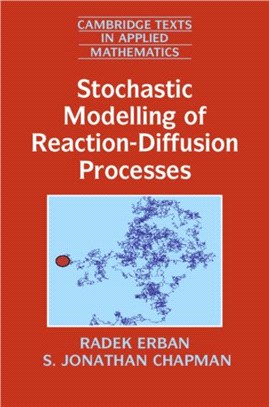 Stochastic Modelling of Reaction–diffusion Processes