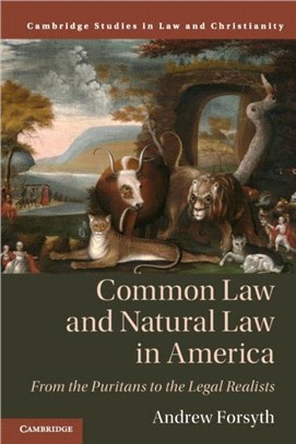 Common Law and Natural Law in America：From the Puritans to the Legal Realists