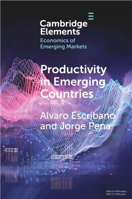 Productivity in Emerging Countries：Methodology and Firm Level Analysis based on International Enterprise Business Surveys