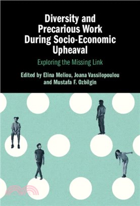 Diversity and Precarious Work During Socio-Economic Upheaval：Exploring the Missing Link