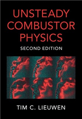 Unsteady Combustor Physics