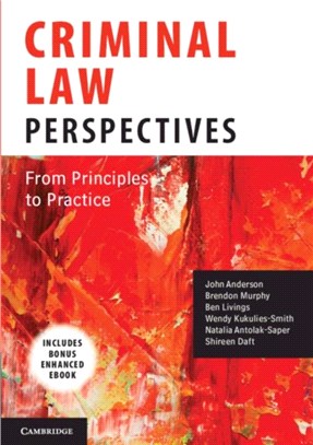 Criminal Law Perspectives：From Principles to Practice