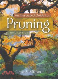An Illustrated Guide to Pruning