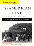 The American Past: A Survey of American History