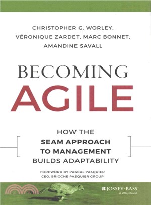 Becoming Agile ― How the Seam Approach to Management Builds Adaptability