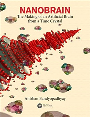 Nanobrain：The Making of an Artificial Brain from a Time Crystal