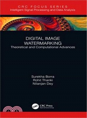 Digital Image Watermarking ― Theoretical and Computational Advances