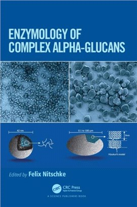 Enzymology of Complex Glycans