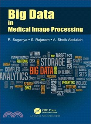 Big Data in Medical Image Processing