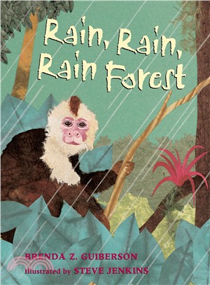 Rain, Rain, Rain Rainforest